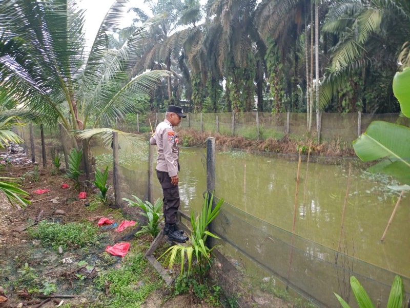 Bhabinkamtibmas Titian Resak Dorong Budidaya Ikan Patin untuk Perkuat Ketahanan Pangan Nasional
