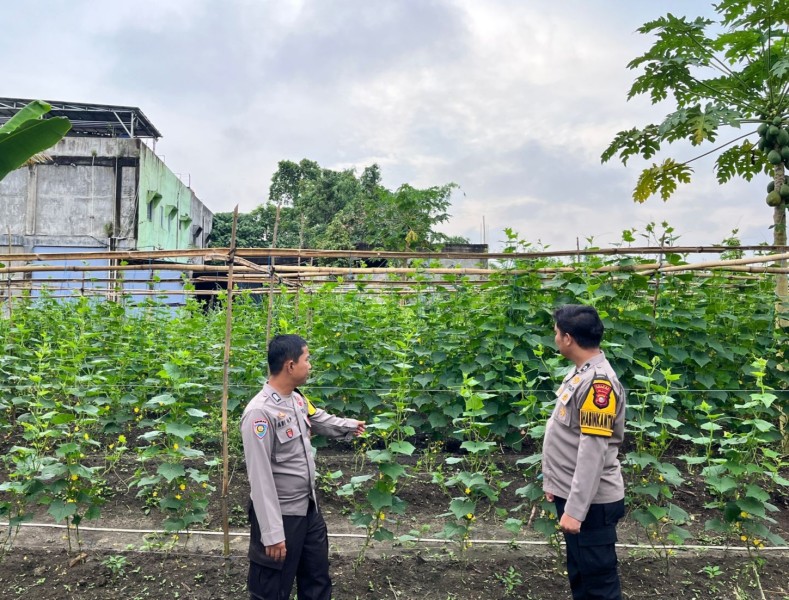 Asta Cita Tak Hanya di Atas Kertas! Polsek Batang Gansal Pantau Pekarangan Pangan Warga Seberida