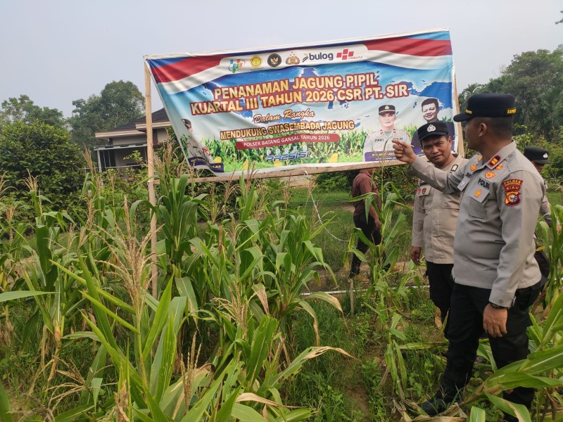 Dukung Program Asta Cita dan Swasembada Pangan, Polsek Batang Gansal Pantau Langsung Lahan Jagung Pipil di Desa Seberida