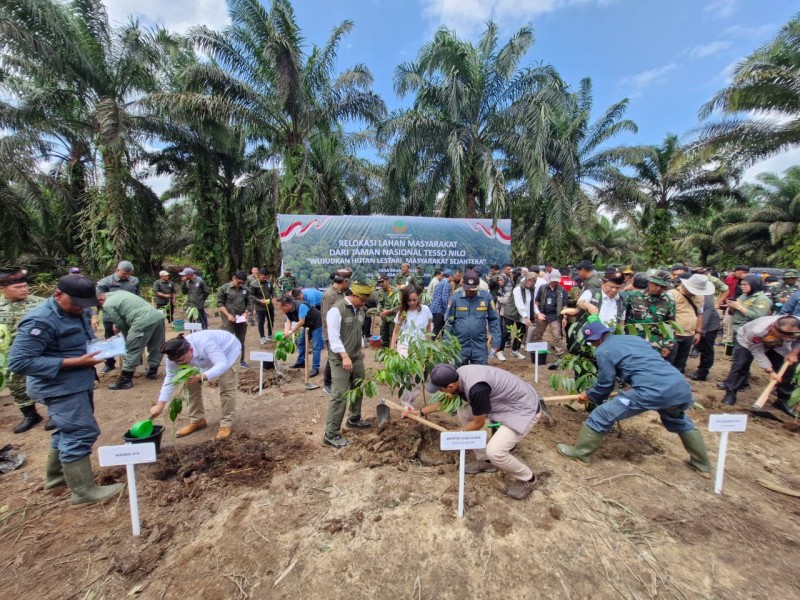 Tesso Nilo Mulai Pulih: 227 KK Melepaskan 633 Hektare Tanah, Penumbangan Pohon Sawit Dimulai di Pelalawan