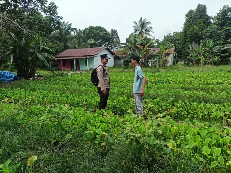 Pemanfaatan Lahan Pekarangan Jadi Fokus Bhabinkamtibmas dalam Program Ketahanan Pangan