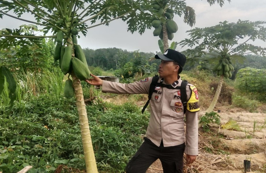 Bhabinkamtibmas Ajak Warga Seresam Optimalkan Lahan untuk Tanaman Pangan