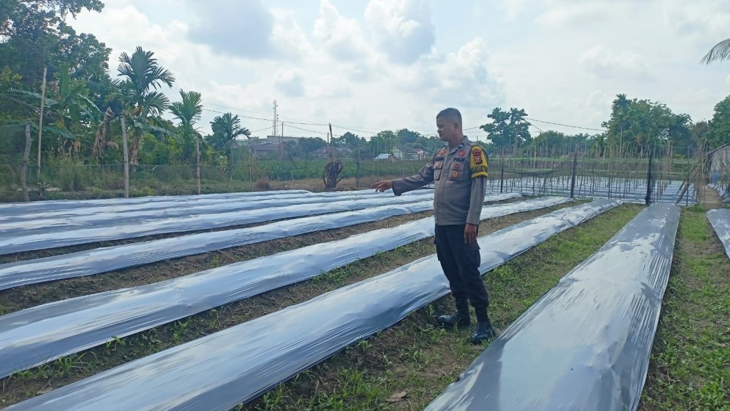 Lahan Sempit Bernilai Besar, Polisi Motivasi Warga Kembangkan Kebun Pangan Rumah Tangga