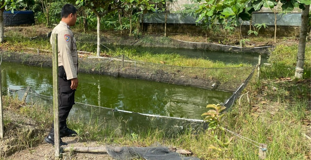 Bhabinkamtibmas Desa Payarumbai Dukung Ketahanan Pangan Nasional Lewat Budidaya Lele Skala Rumah Tangga