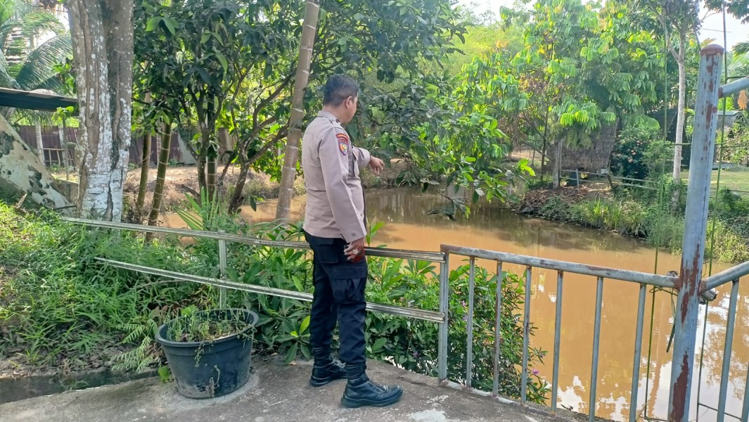 Budidaya Ikan Patin di Pekarangan Jadi Fokus Dukungan Ketahanan Pangan di Bandar Padang