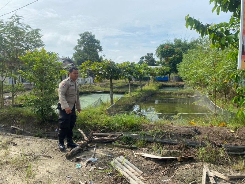 Brigadir Sandra Baiwa Ajak Warga Optimalkan Lahan Pekarangan untuk Budidaya Ikan Lele