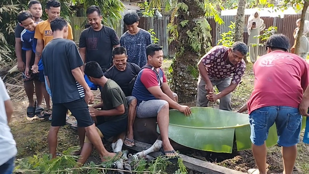 2 Masjid LDII Petalabumi Kurban 9 Ekor Sapi dan 4 Ekor Kambing