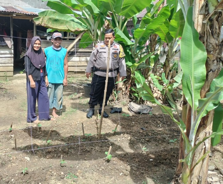 Bhabinkamtibmas Desa Kelesa Dorong Pemanfaatan Pekarangan untuk Perkuat Ketahanan Pangan Nasional