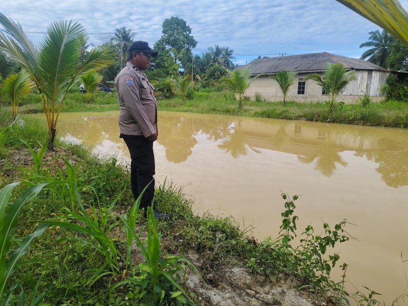 Bhabinkamtibmas Kelurahan Pangkalan Kasai Dukung Program Ketahanan Pangan Nasional Melalui Budidaya Ikan Nila