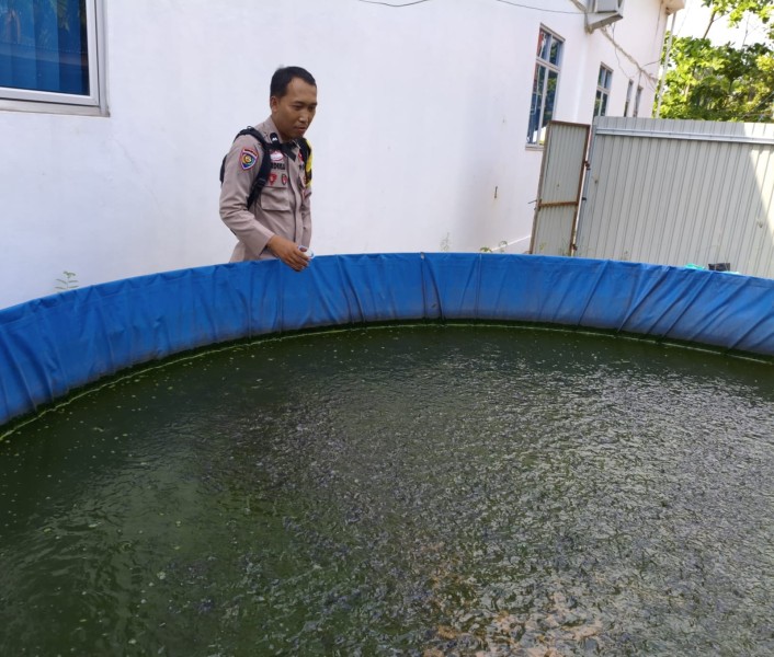 Dukung Ketersediaan Pangan Desa, Bhabinkamtibmas Sambangi Pembudidaya Lele di Seresam