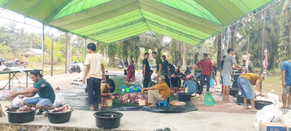 Panitia Kurban Masjid Al Muhajirin Desa Titian Resak Sembelih 11 Ekor Sapi dan 3 Kambing