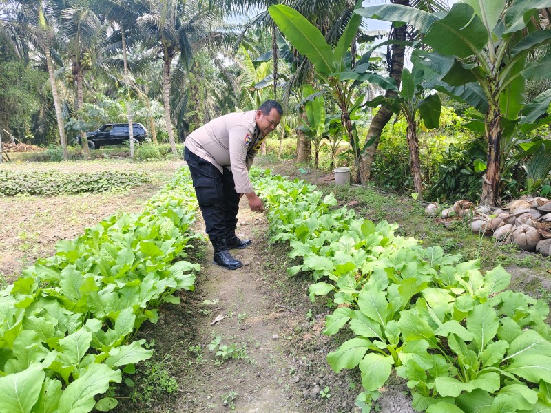 Aipda Suyoto Ajak Masyarakat Kembangkan Pertanian Rumah TanggaAipda Suyoto Ajak Masyarakat Kembangkan Pertanian Rumah Tangga