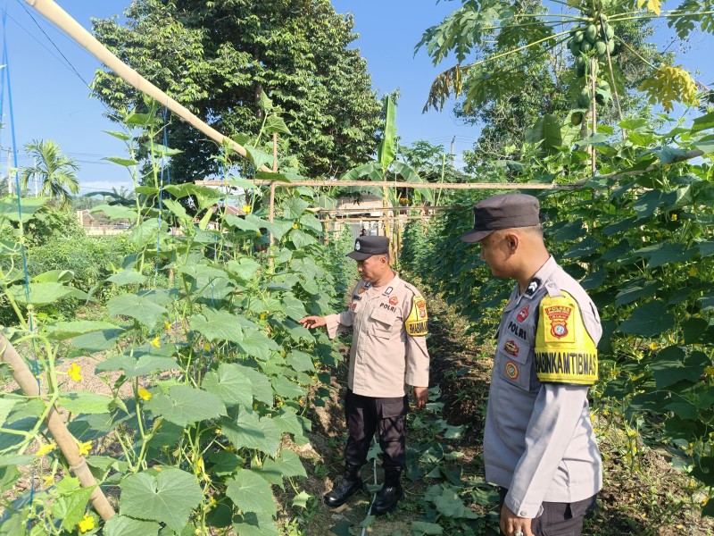 Monitoring Pekarangan Bergizi, Upaya Nyata Dukung Kemandirian Pangan Masyarakat