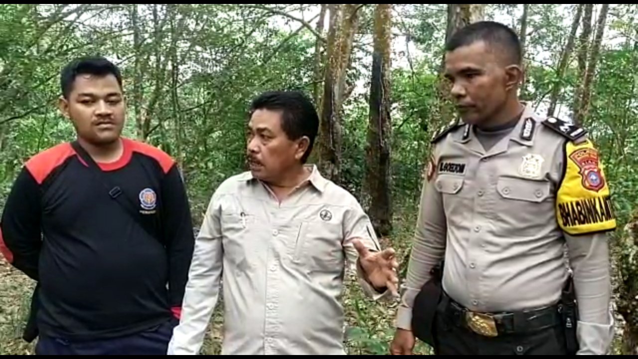 Diduga Ditemukan Jejak Kaki Harimau di Desa Tanah Datar Warga Diminta Waspada