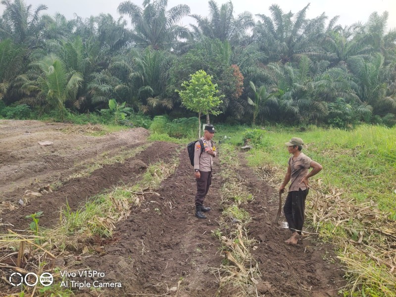 Sebutir Kacang, Sejuta Harapan: Bhabinkamtibmas Seberida Gerakkan Ketahanan Pangan dari Pekarangan Warga