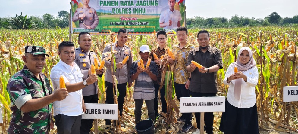 Panen Jagung Pipil Sukses, Kapolres : Polisi Hanya Pendorong, Direktur : Terimakasih Sudah Dilibatkan