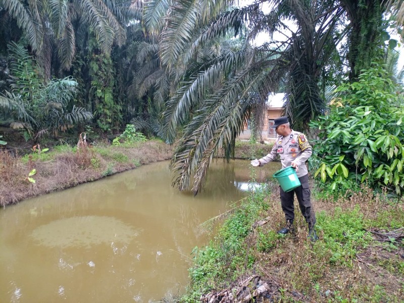 Polisi Pantau Kolam Nila di Pekarangan Warga Titian Resak: Ketahanan Pangan Dimulai dari Halaman Rumah, Bukan Hanya Sawah