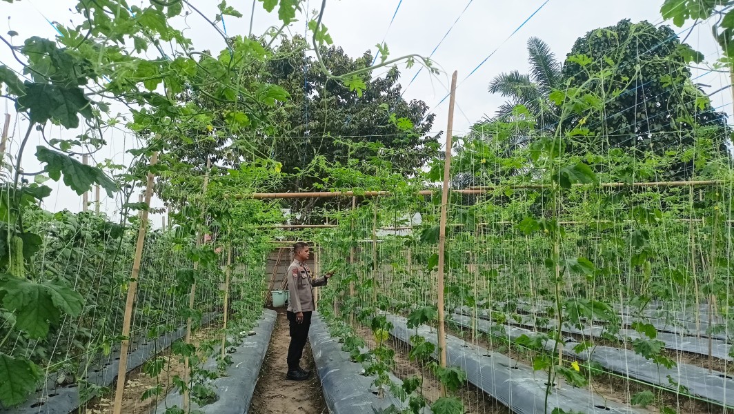 Polsek Seberida Dorong Warga Manfaatkan Pekarangan untuk Ketahanan Pangan, Pare Jadi Pilihan