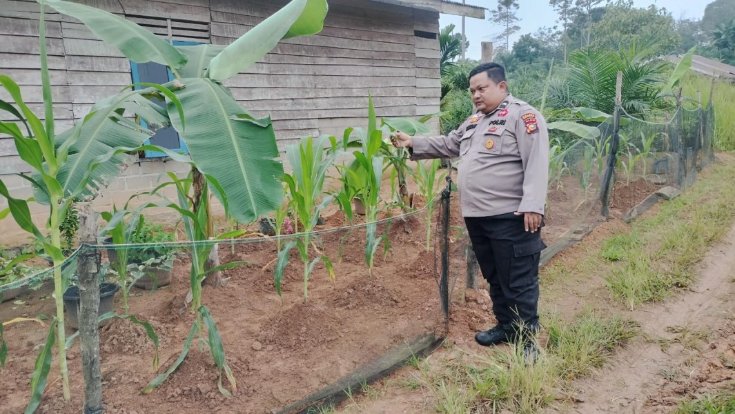 Warga Kelesa Diajak Maksimalkan Lahan Pekarangan untuk Mendukung Ketahanan Pangan