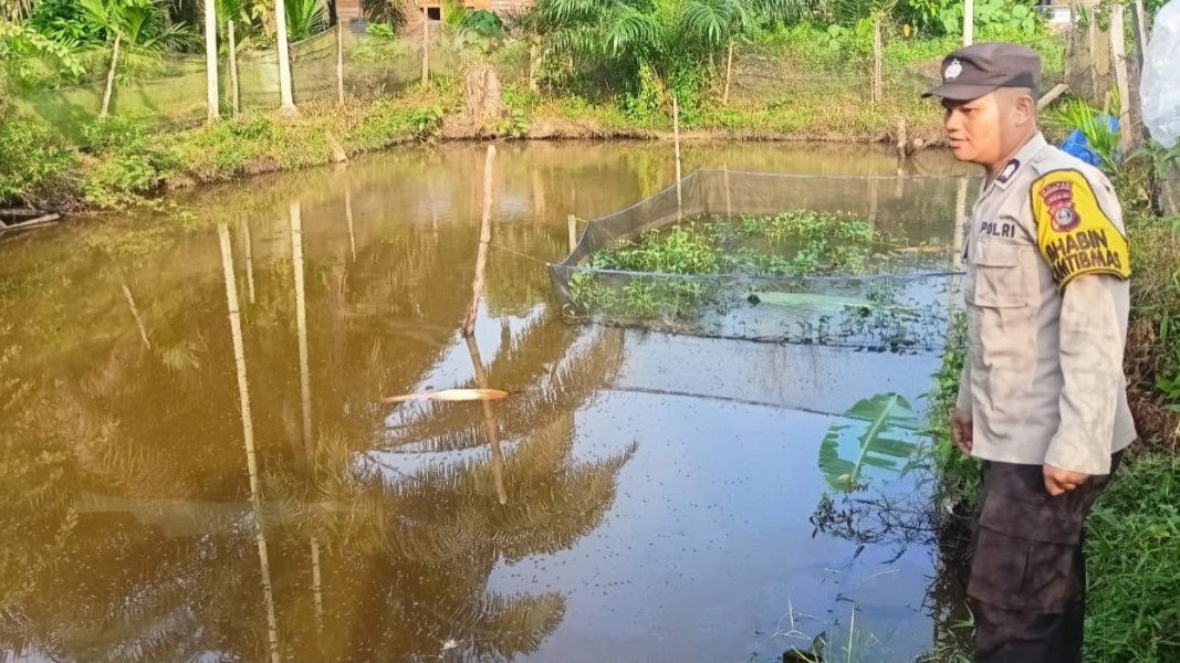 Pemanfaatan Pekarangan untuk Kolam Ikan Patin Didorong Bhabinkamtibmas Desa Payarumbai